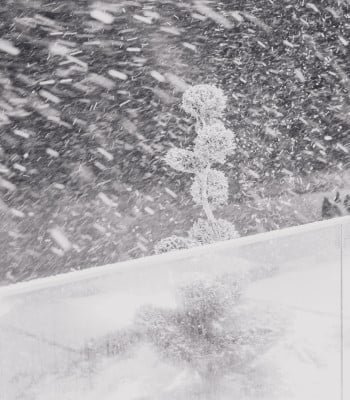 Snow caused by snow cannon